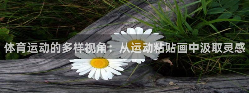 球王会体育：体育运动的多样视角：从运动粘贴画中汲取灵感