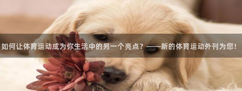 球王会体育：如何让体育运动成为你生活中的另一个亮点？——新的体育运动外刊为您！