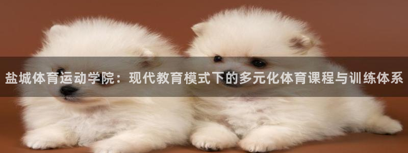 球王会体育：盐城体育运动学院：现代教育模式下的多元化体育课程与训练体系