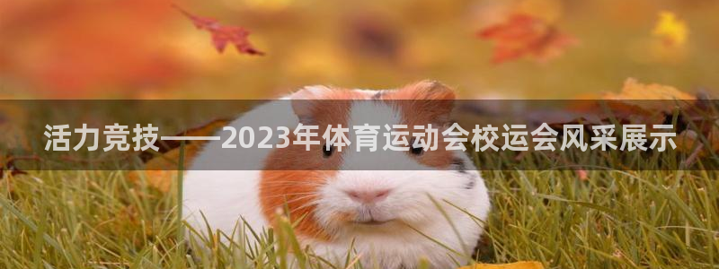球王会体育：活力竞技——2023年体育运动会校运会风采展示