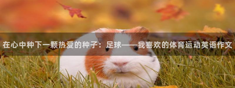 球王会体育：在心中种下一颗热爱的种子：足球——我喜欢的体育运动英语作文