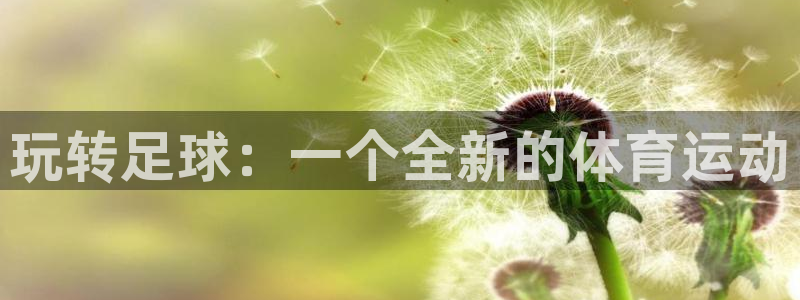 球王会体育：玩转足球：一个全新的体育运动