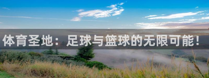 球王会体育：体育圣地：足球与篮球的无限可能！