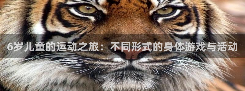 球王会体育：6岁儿童的运动之旅：不同形式的身体游戏与活动