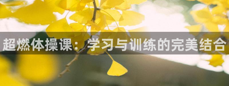 球王会体育：超燃体操课：学习与训练的完美结合