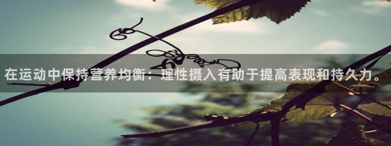 球王会体育：在运动中保持营养均衡：理性摄入有助于提高表现和持久力。