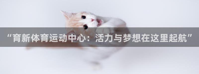 球王会体育：“育新体育运动中心：活力与梦想在这里起航”