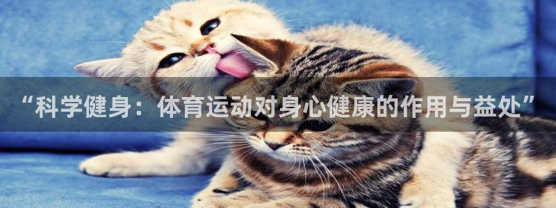 球王会体育：“科学健身：体育运动对身心健康的作用与益处”