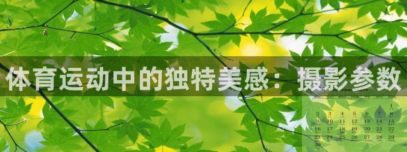 球王会体育：体育运动中的独特美感：摄影参数