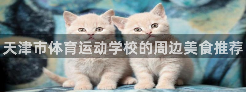 球王会体育：天津市体育运动学校的周边美食推荐
